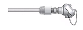 Mineral Insulated Thermocouples w/ Connection Head & Thermowell